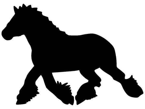 Животные 340