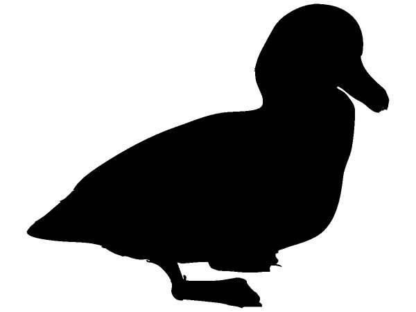 Животные 220