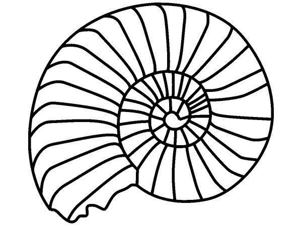 Животные 1502