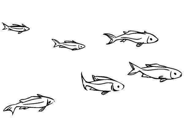 Животные 3579 Животные 3579