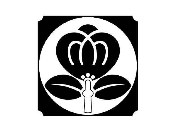 Японский узор 2624