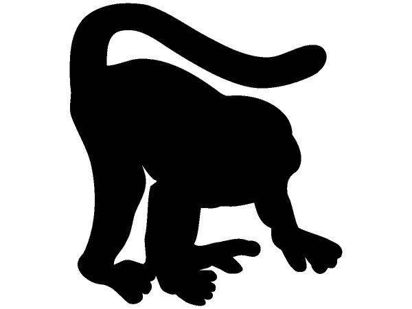 Животные 2429 Животные 2429