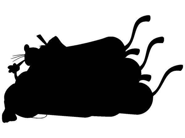 Животные 2808