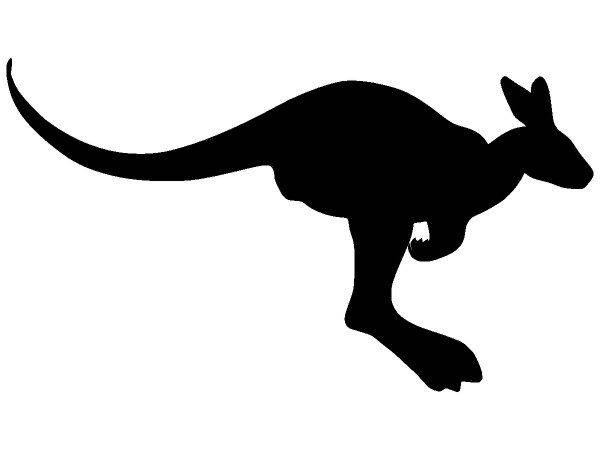 Животные 557 Животные 557