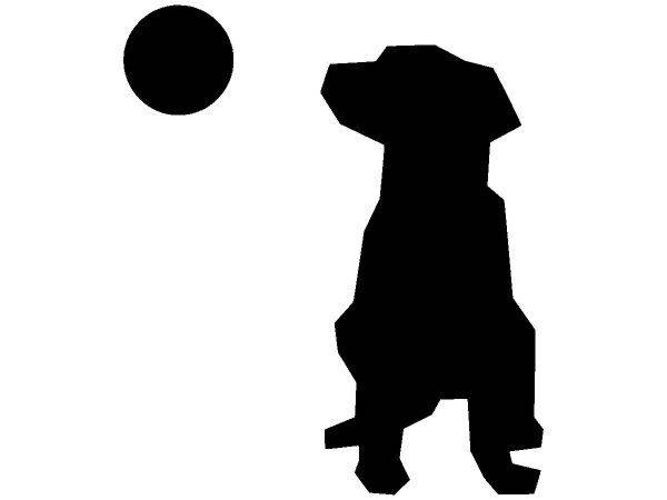 Животные 1641