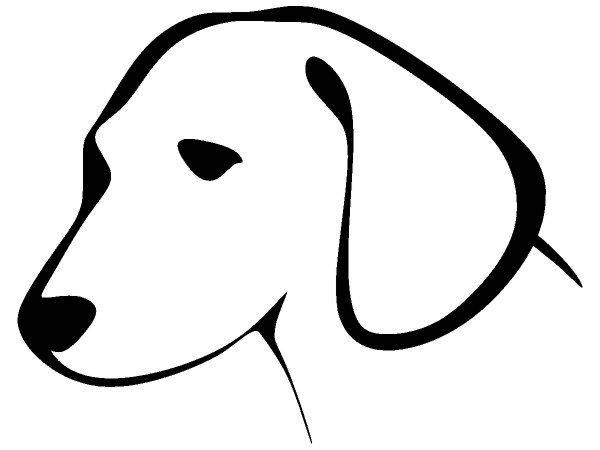 Животные 3699 Животные 3699