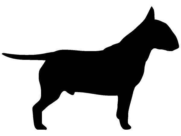 Животные 3117 Животные 3117