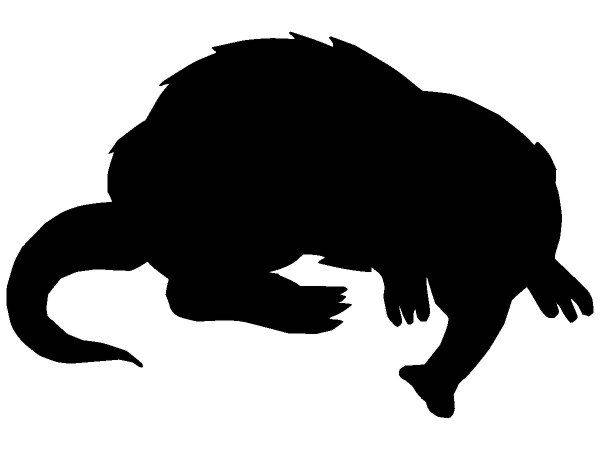 Животные 391 Животные 391