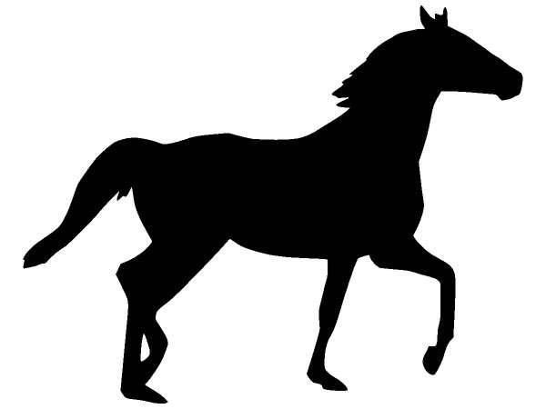 Животные 1347