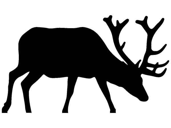 Животные 1216