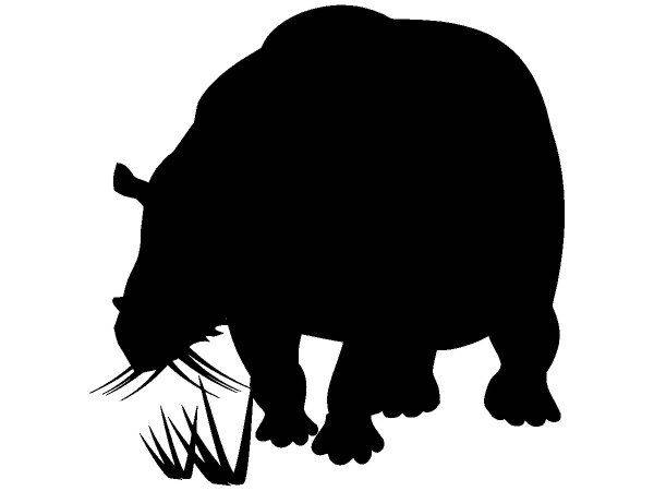 Животные 341