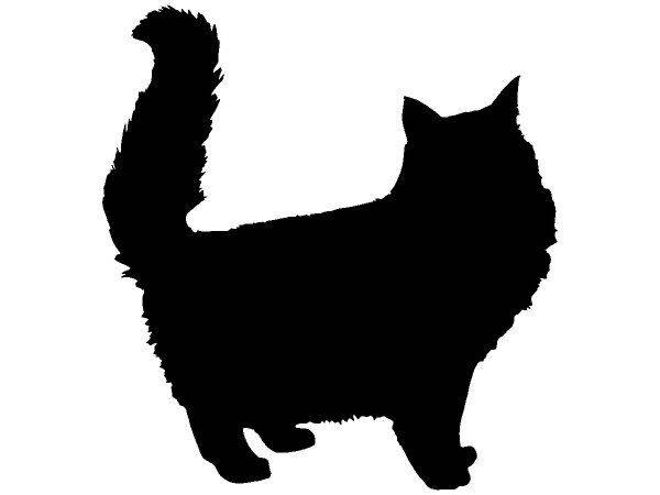 Животные 3575 Животные 3575