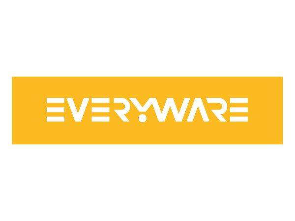 EveryWare Development