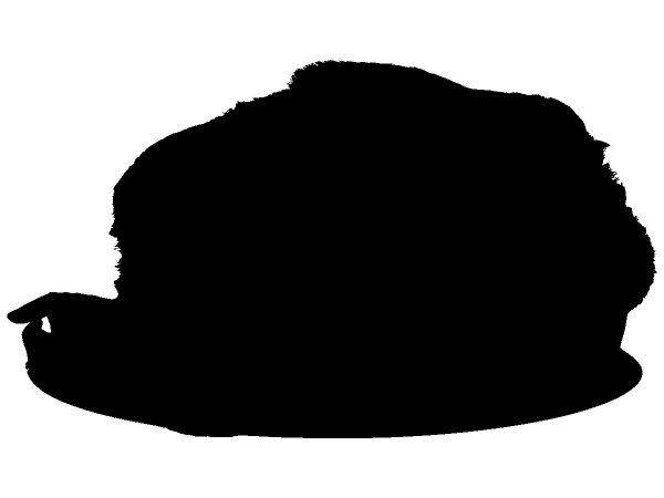 Животные 2195