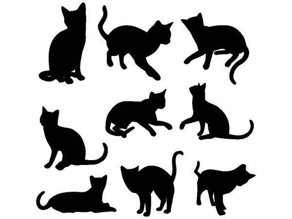 Животные 2884