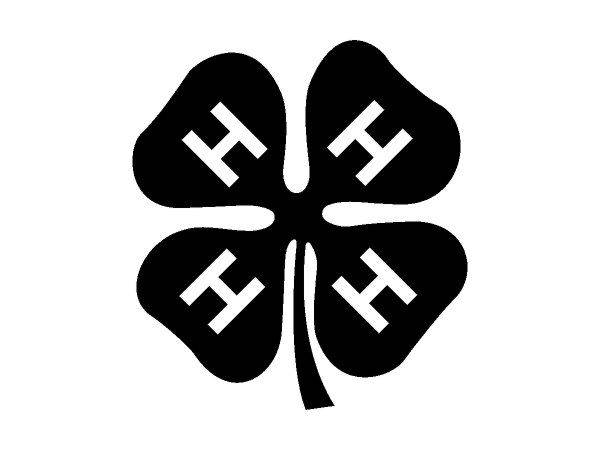 4-H club logo