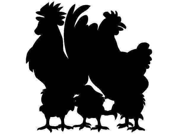 Животные 3611 Животные 3611