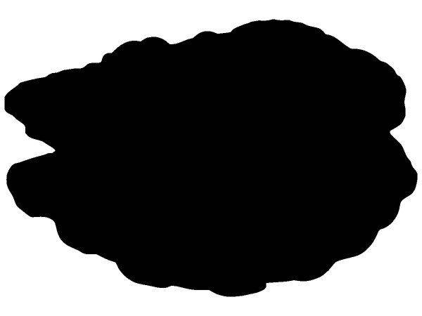 Животные 3772 Животные 3772