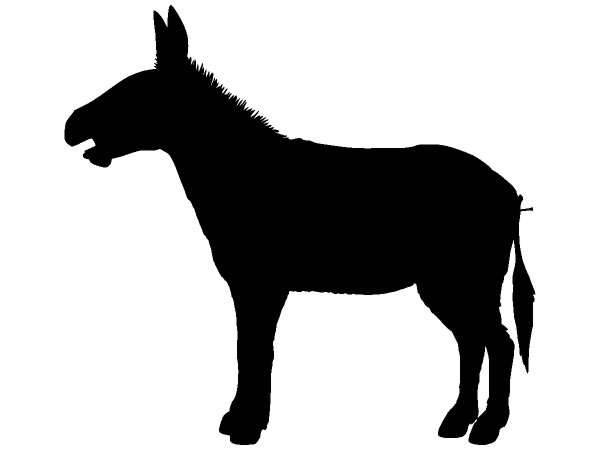 Животные 387