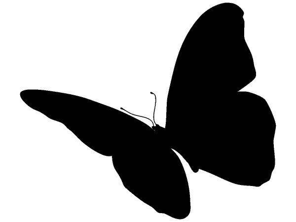 Животные 2599