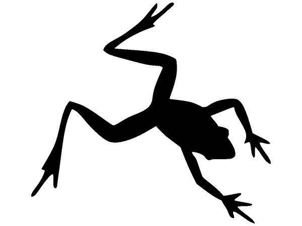 Животные 3791