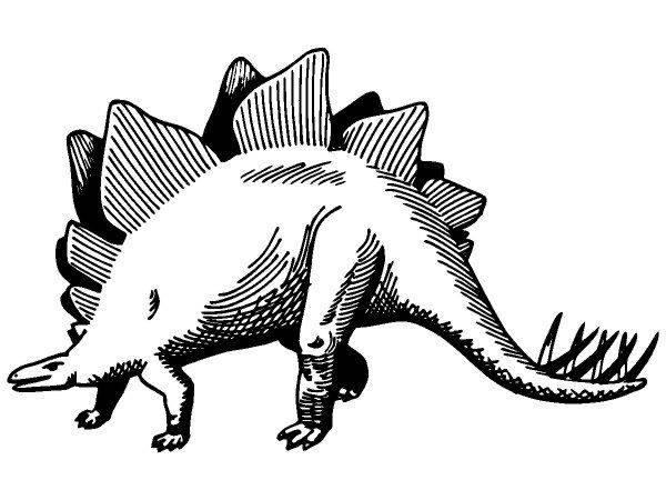 Животные 1128