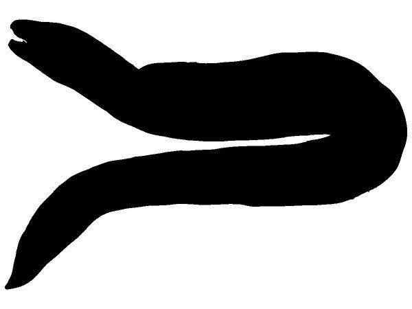 Животные 2165