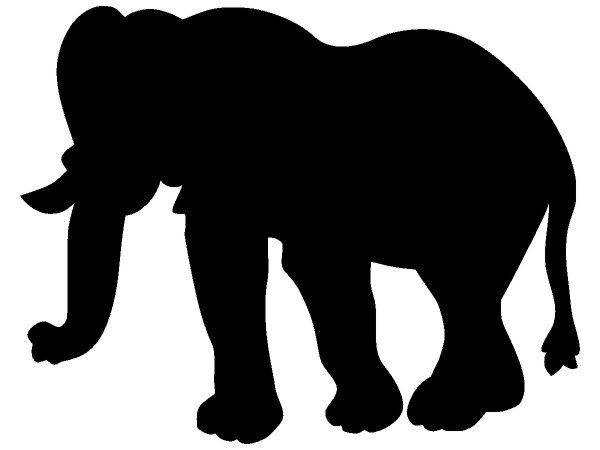 Животные 2430 Животные 2430