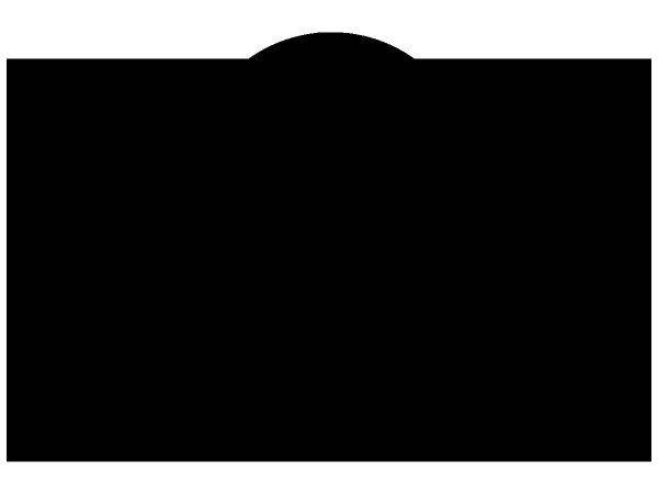 Животные 2866