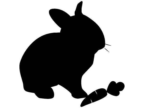 Животные 3368