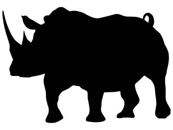 Животные 4204