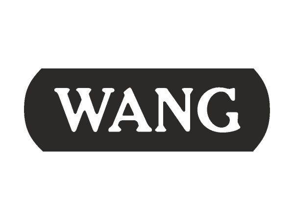 WANG COMPUTERS logo