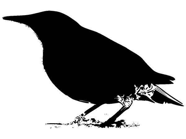 Животные 2492 Животные 2492