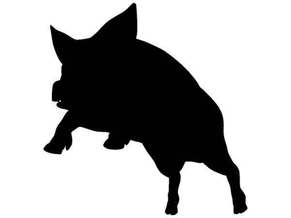 Животные 4067 Животные 4067