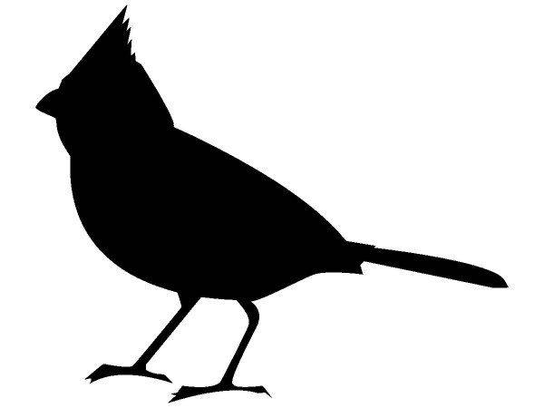 Животные 1184