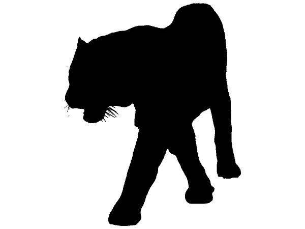 Животные 4014