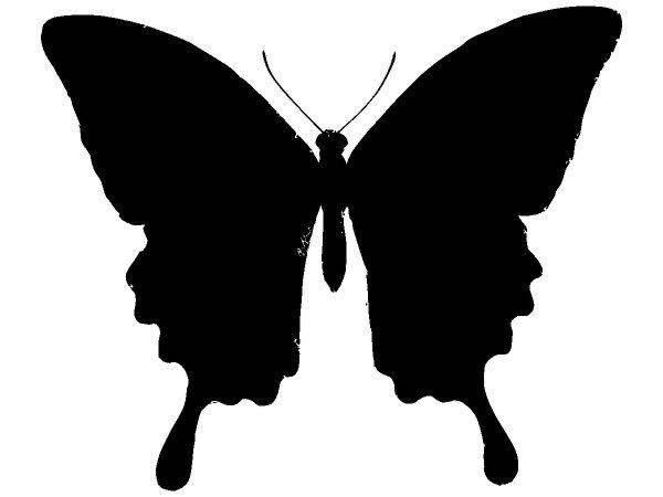 Животные 2296 Животные 2296