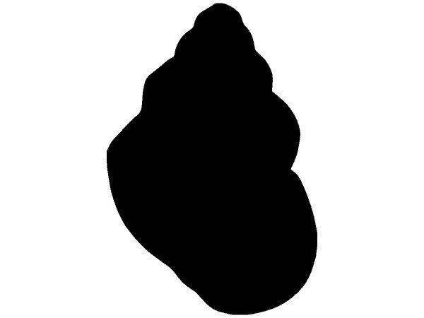 Животные 3995