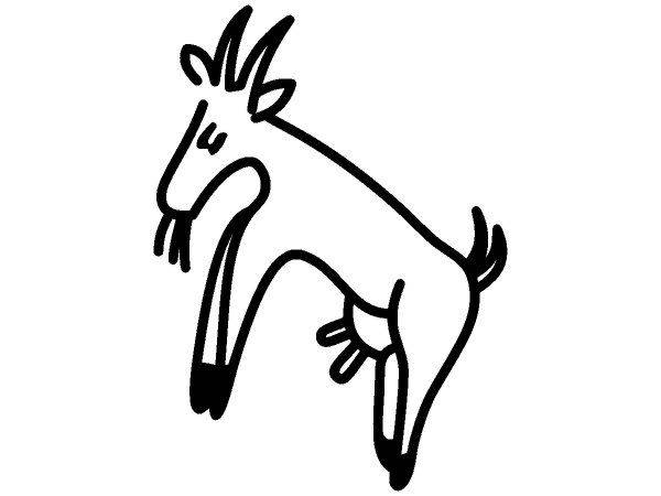 Животные 4162