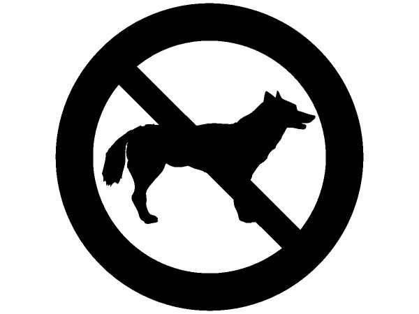 Животные 162