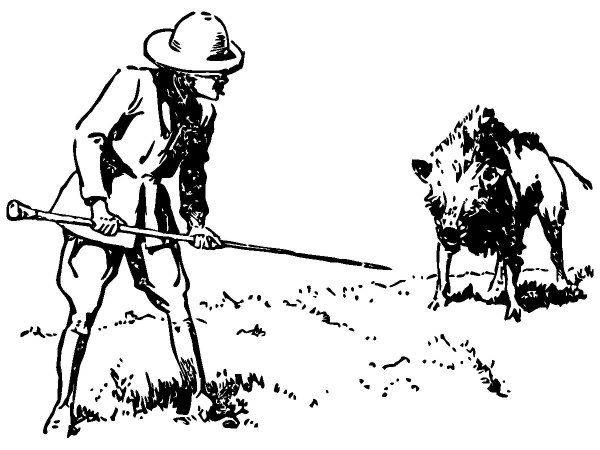 Животные 520