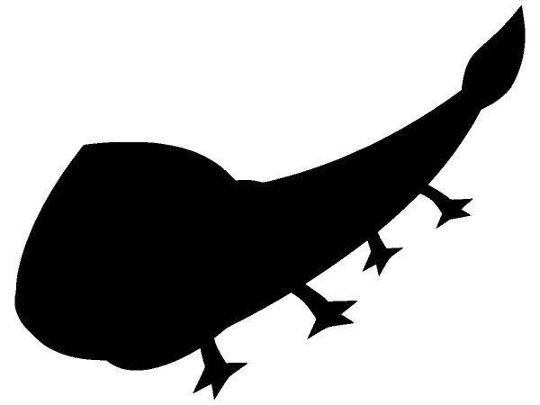 Животные 2069