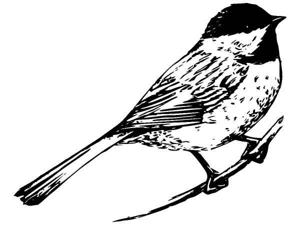 Животные 333