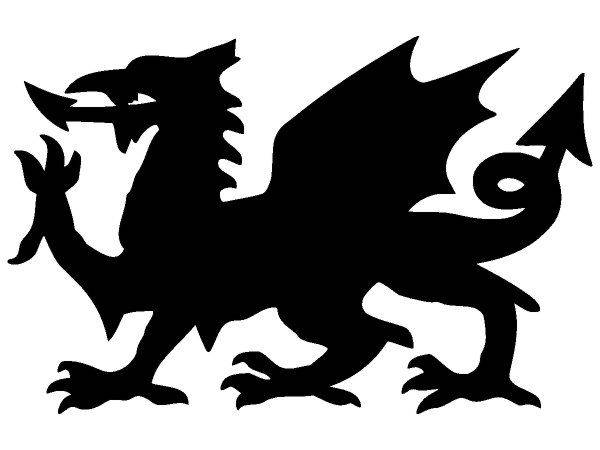 Животные 2704 Животные 2704