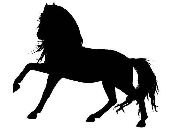 Животные 3925 Животные 3925