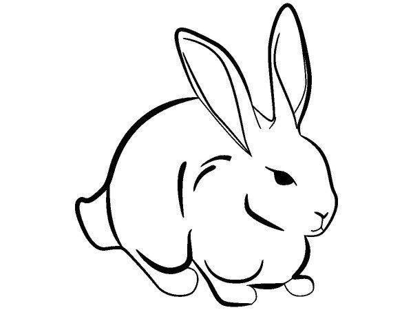 Животные 2178 Животные 2178