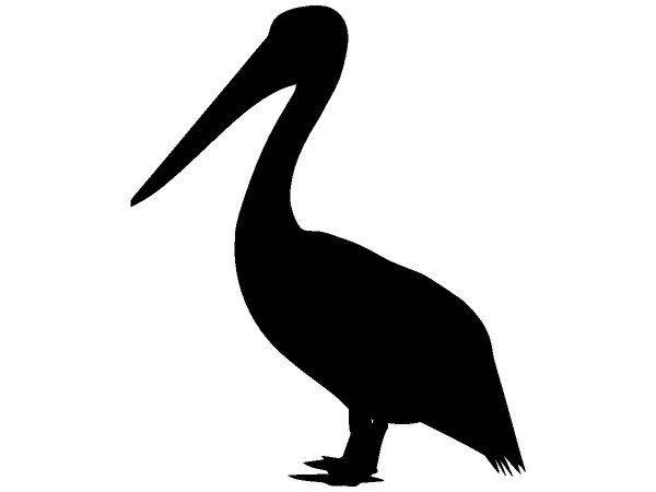 Животные 2231 Животные 2231