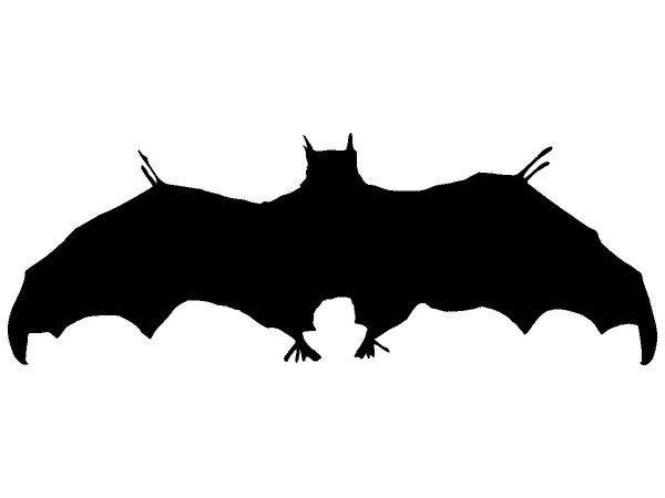 Животные 2055