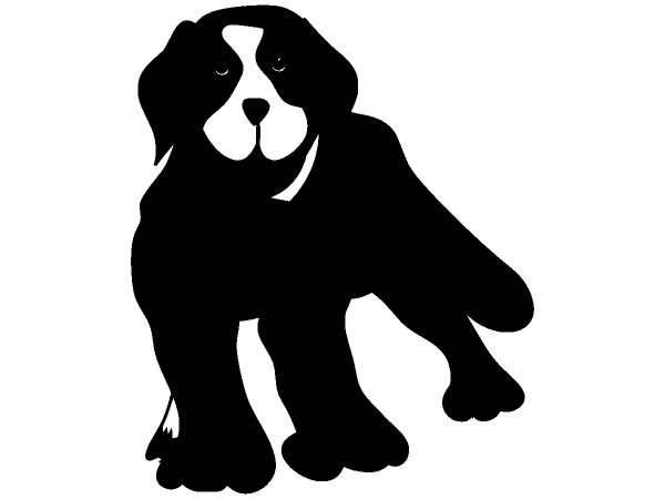 Животные 841