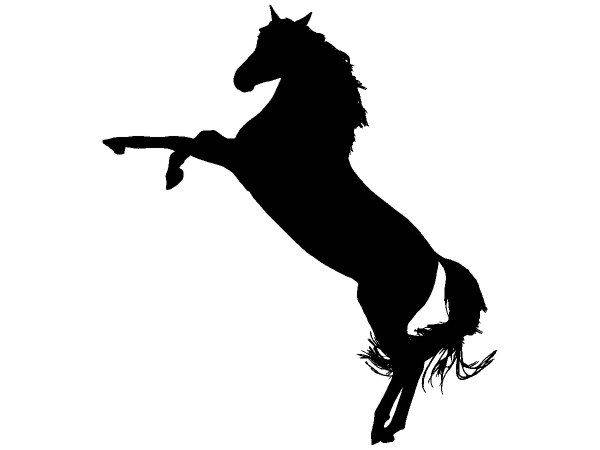 Животные 4084